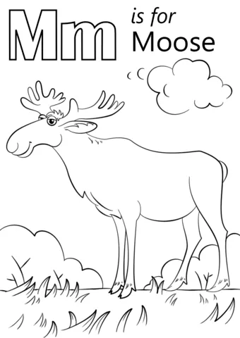 alphabet (21)