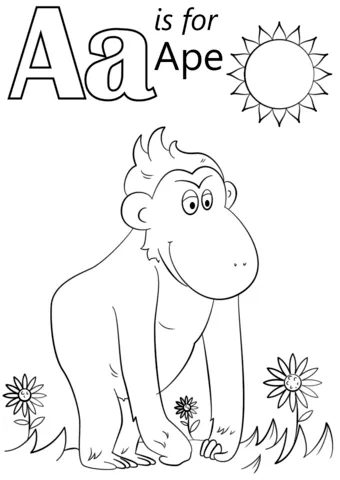 alphabet (5)