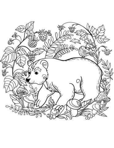 bear (1)