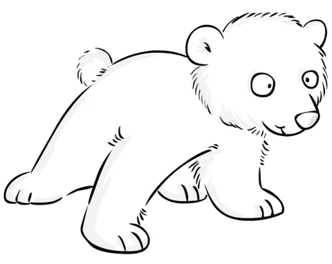 bear (10)