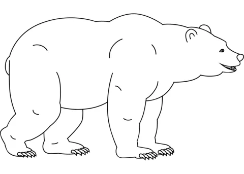 bear (11)