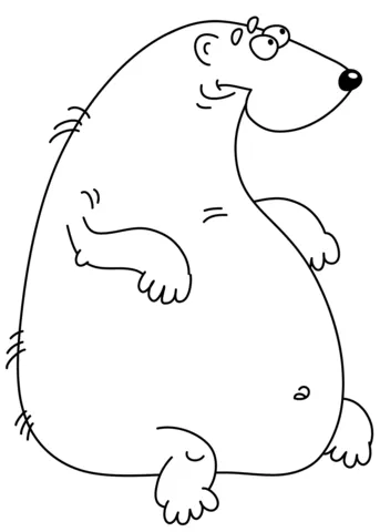 bear (12)