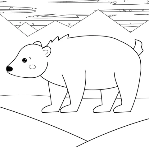 bear (15)