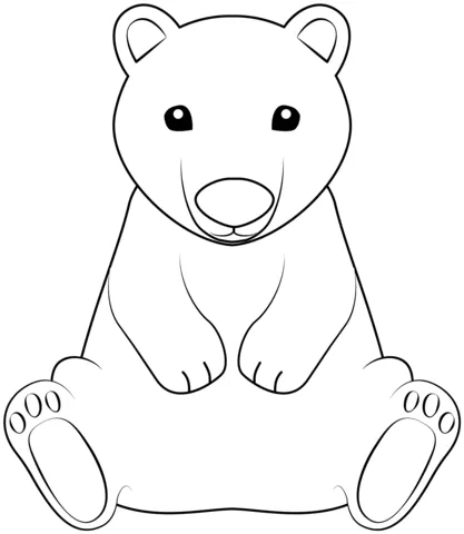 bear (16)