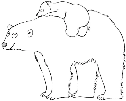 bear (17)