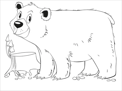 bear (2)