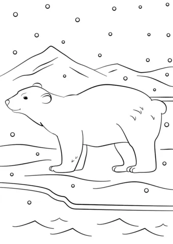 bear (20)