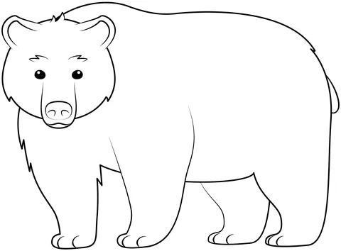 bear (3)