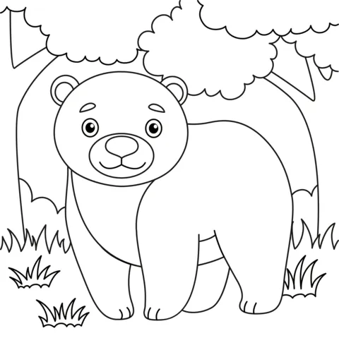 bear (8)