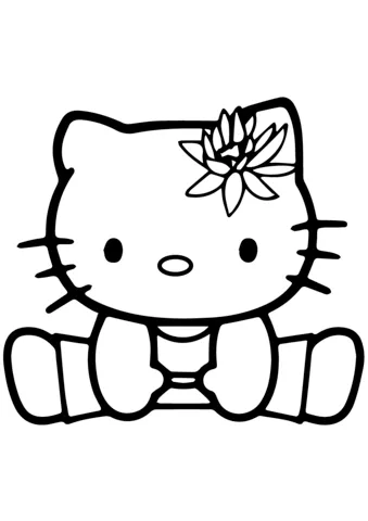 hello kitty (12)