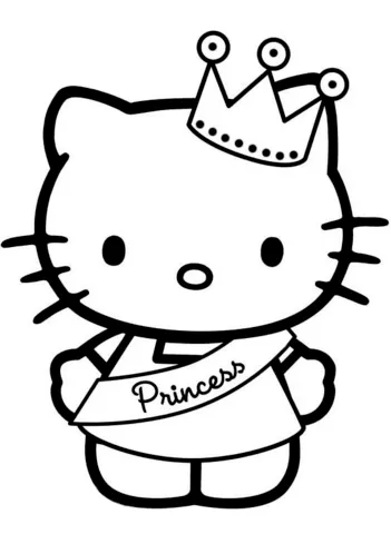 hello kitty (16)