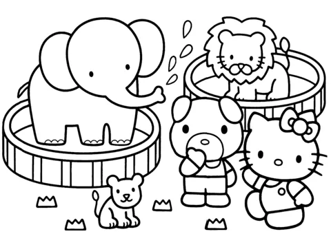 hello kitty (23)