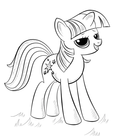 little pony (14)