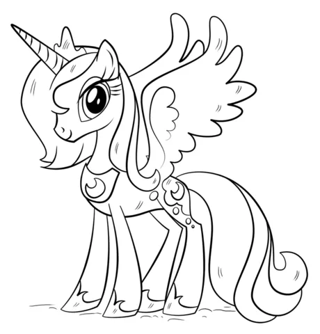 little pony (16)