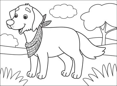 puppy13