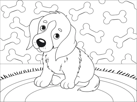 puppy17