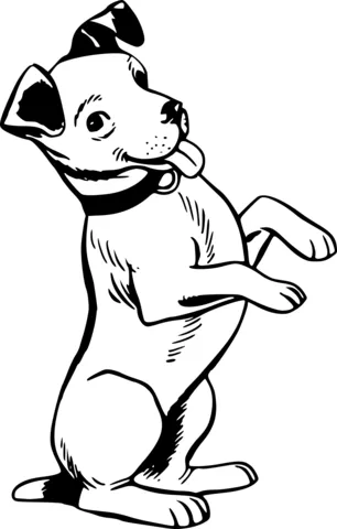 puppy19