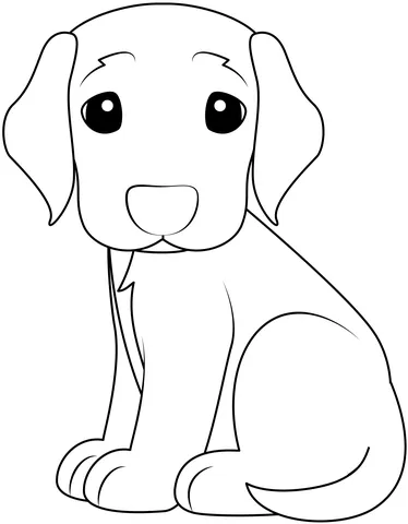 puppy20