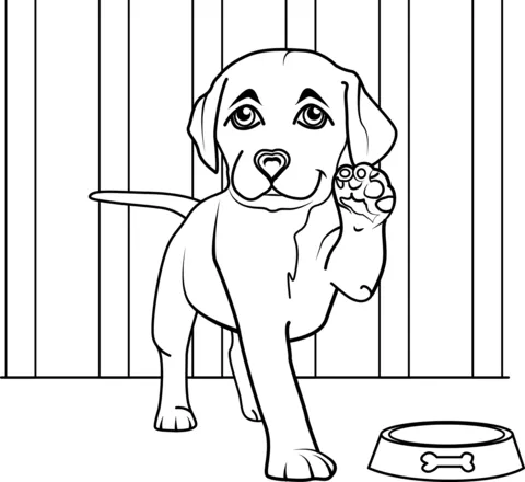 puppy21