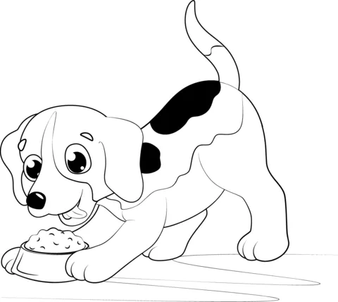 puppy23