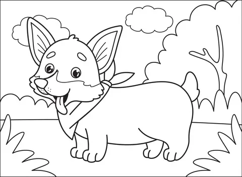 puppy5