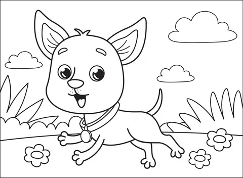 puppy6