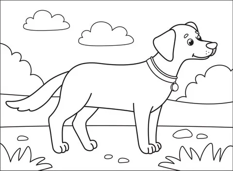 puppy7