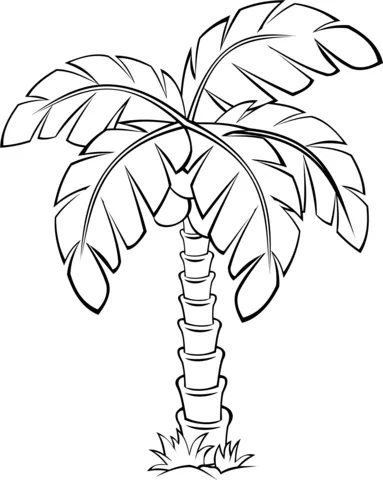 tree (10)
