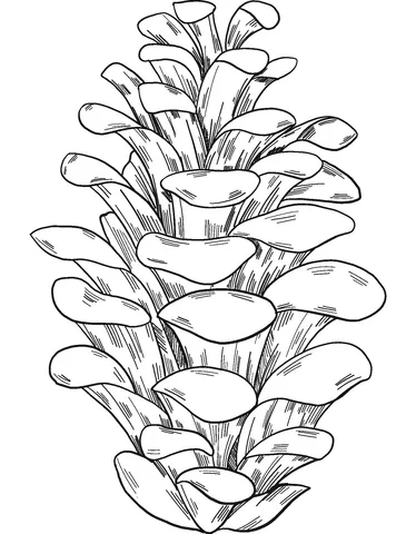tree (15)