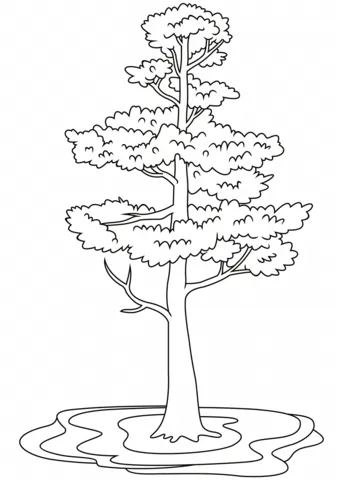 tree (21)