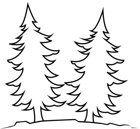 tree (8)