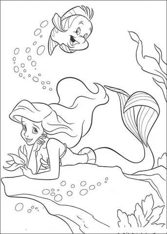 Ariel (14)