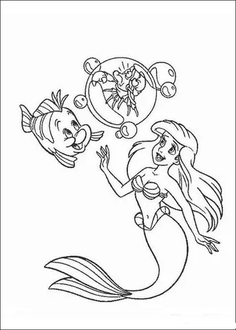 Ariel (15)