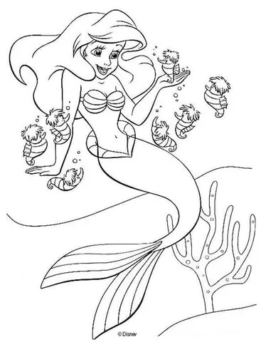 Ariel (7)