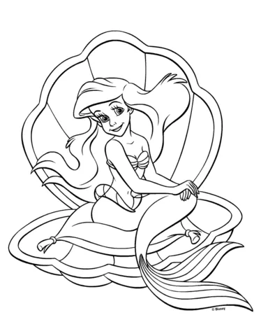 Ariel (9)