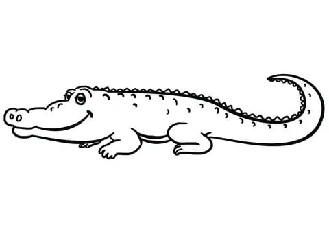 alligator (11)