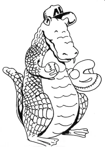alligator (14)