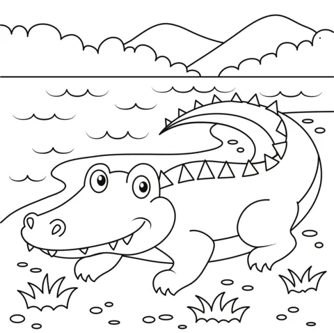 alligator (16)