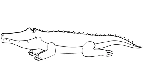 alligator (2)