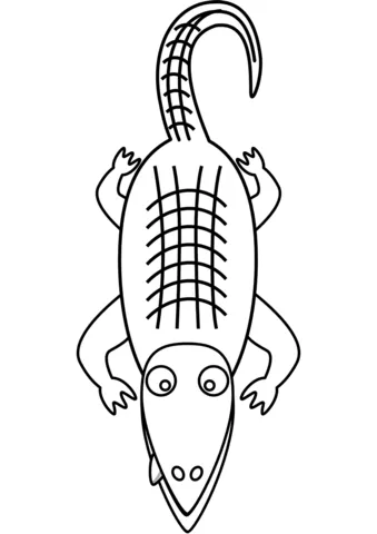 alligator (5)