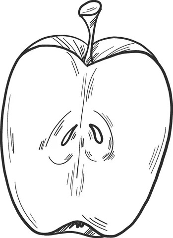 apple (11)