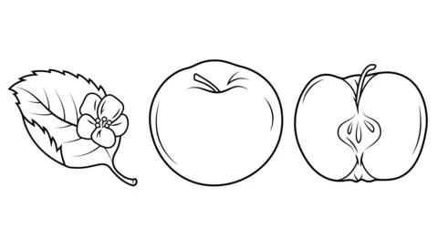 apple (19)