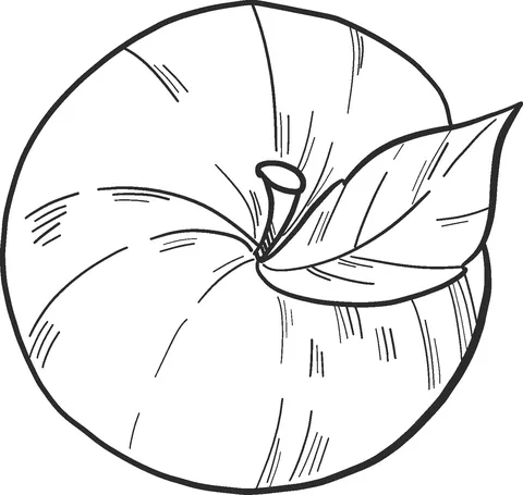 apple (7)