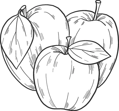 apple (9)