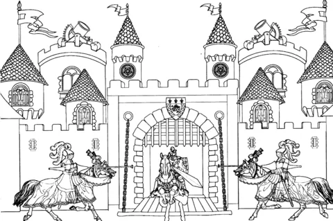 castle (14)