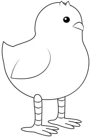 chicken (10)