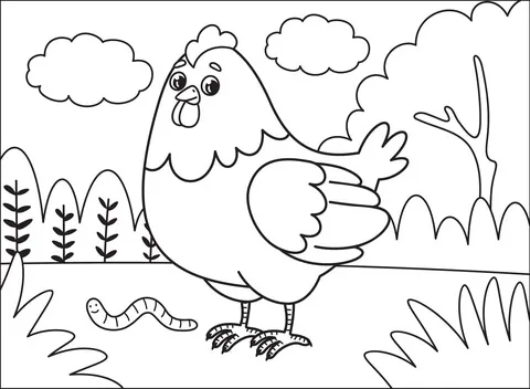 chicken (11)