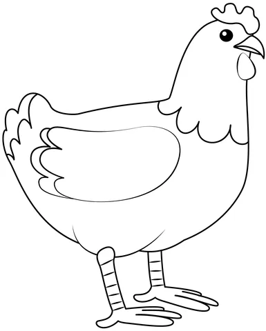 chicken (12)