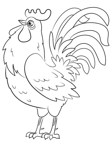 chicken (16)
