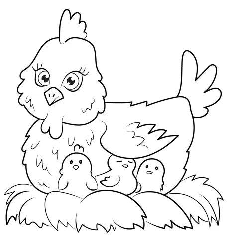chicken (19)